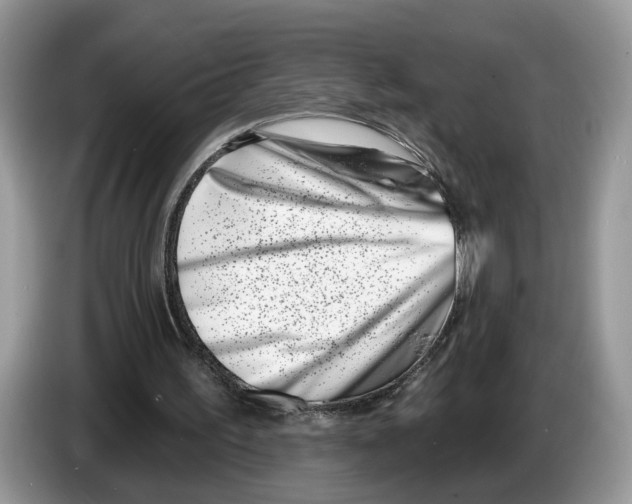 X0000086270195200704262023
