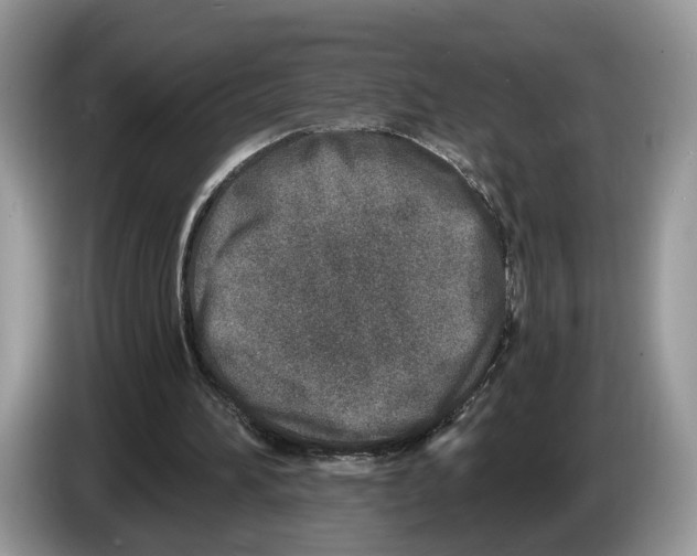 X0000086270196200704262023