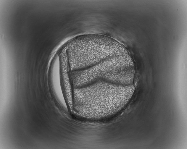 X0000086270200200704262023
