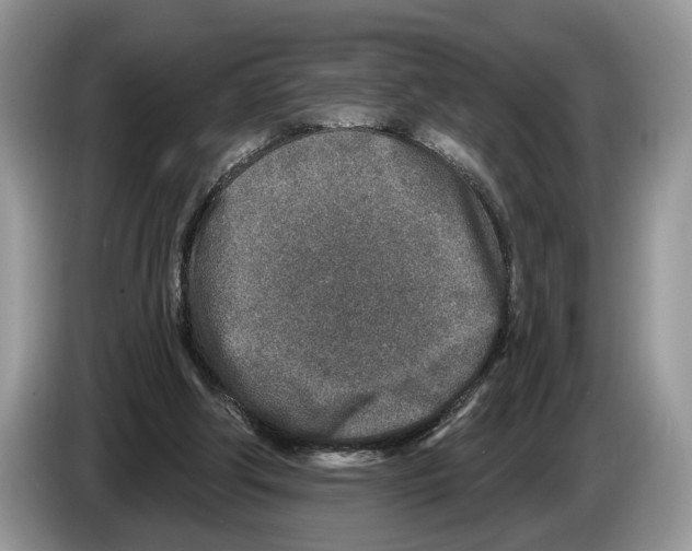 X0000086270202200704262023