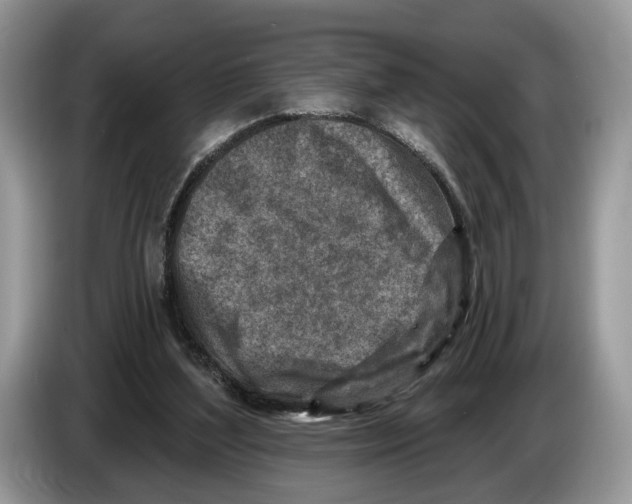 X0000086270204200704262023