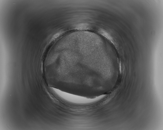 X0000086270205200704262023