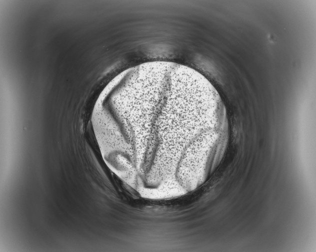 X0000086270211200704262023