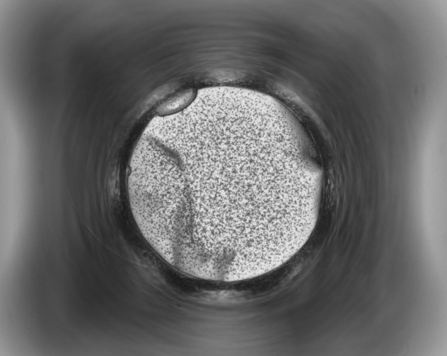 X0000086270212200704262023