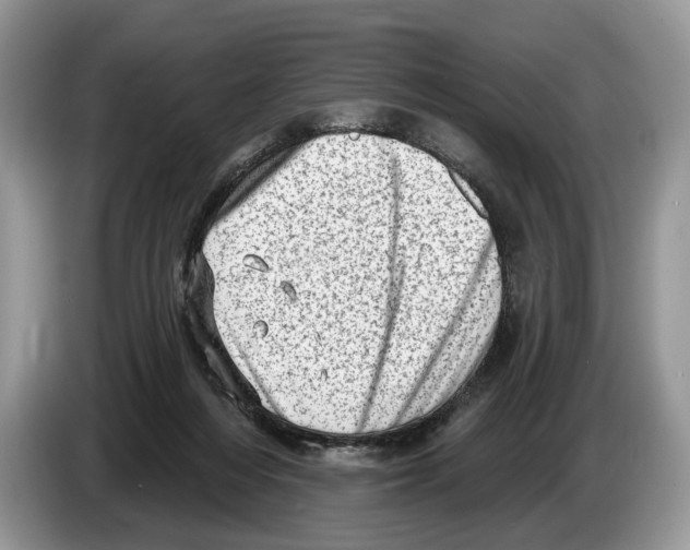 X0000086270216200704262023