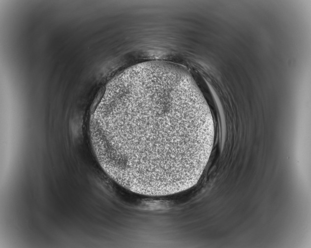 X0000086270221200704262023