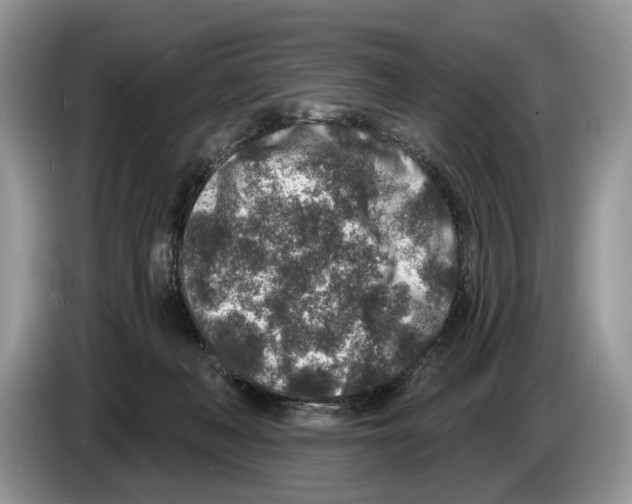 X0000086270222200704262023