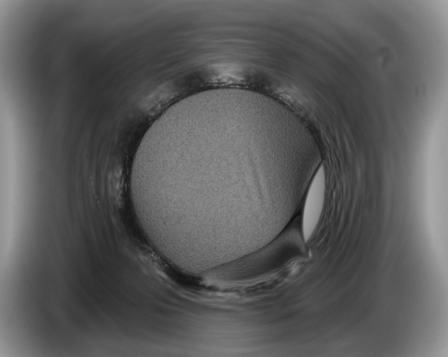 X0000086270223200704262023