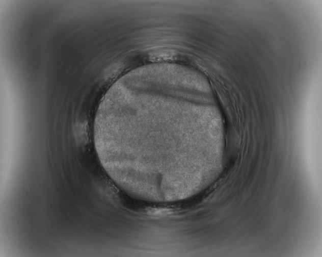 X0000086270224200704262023