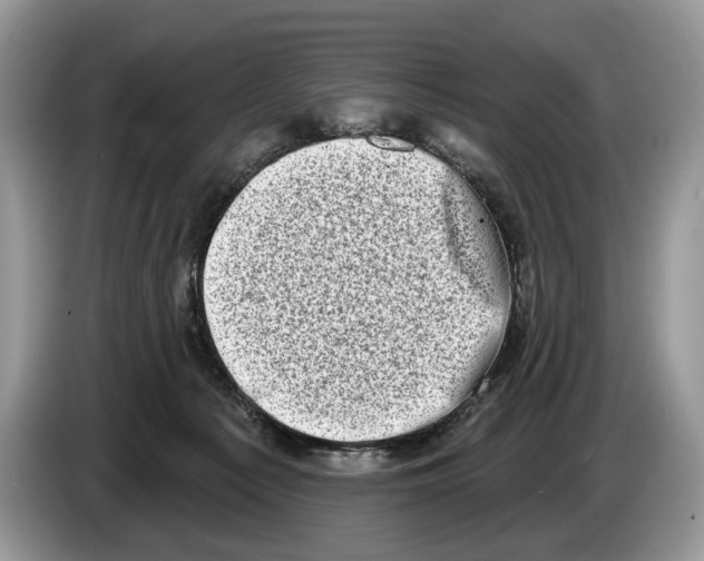 X0000086270225200704262023