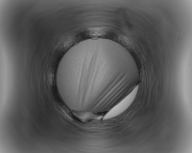 X0000086270227200704262023