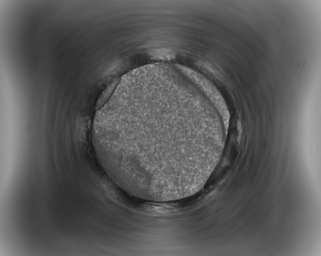 X0000086270229200704262022