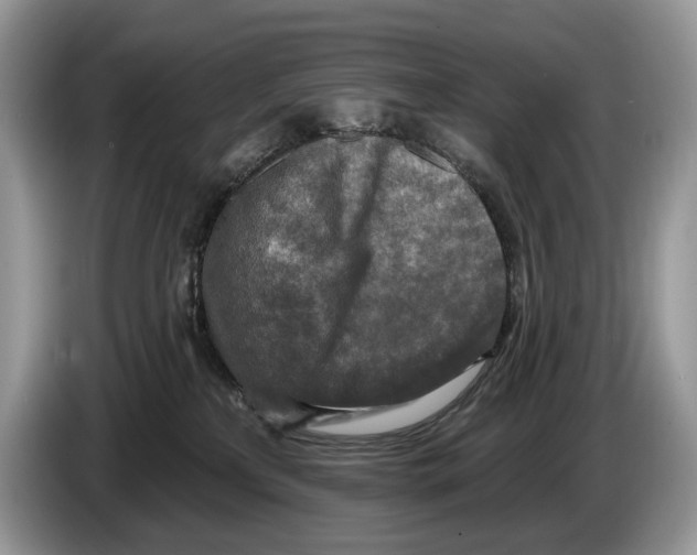 X0000086270233200704262022