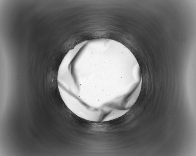 X0000086270234200704262022