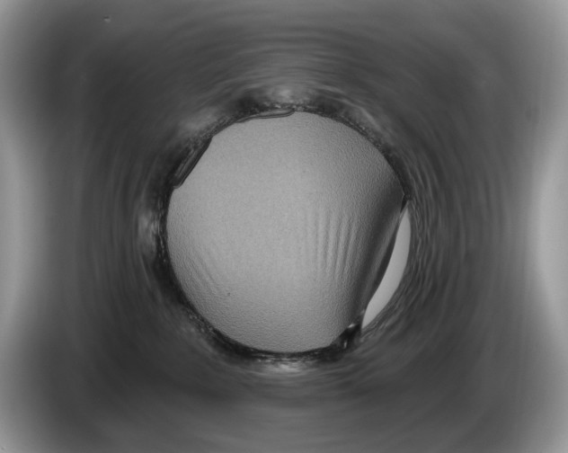 X0000086270235200704262022
