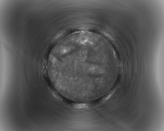 X0000086270237200704262022