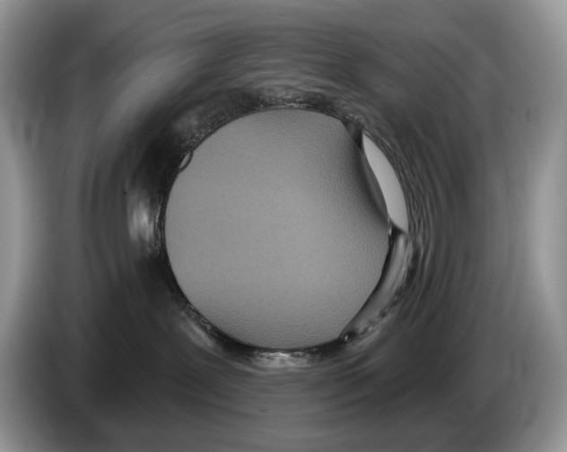 X0000086270239200704262022