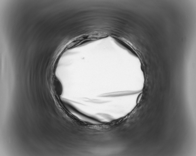 X0000086270241200704262022