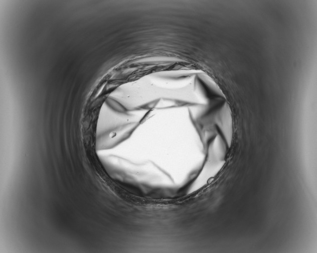 X0000086270242200704262022