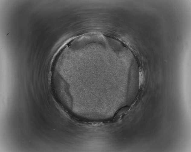 X0000086270243200704262022