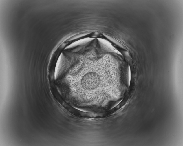 X0000086270244200704262022