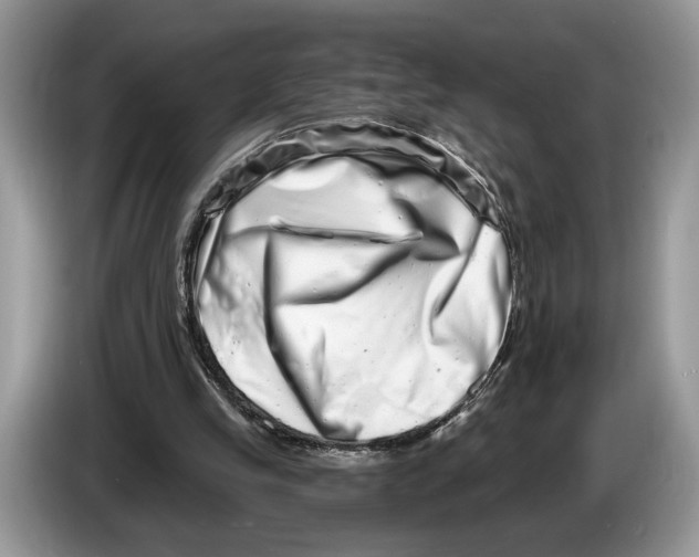 X0000086270245200704262022