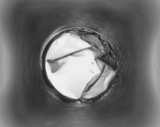 X0000086270246200704262022