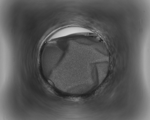 X0000086270247200704262022