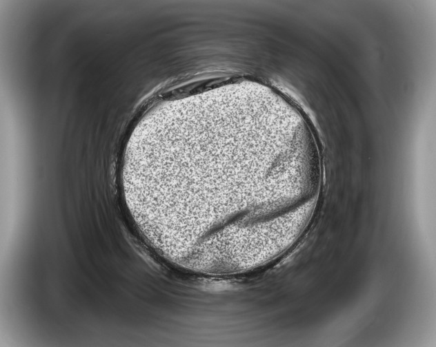 X0000086270249200704262022