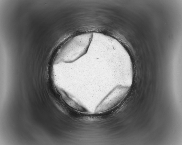 X0000086270250200704262022
