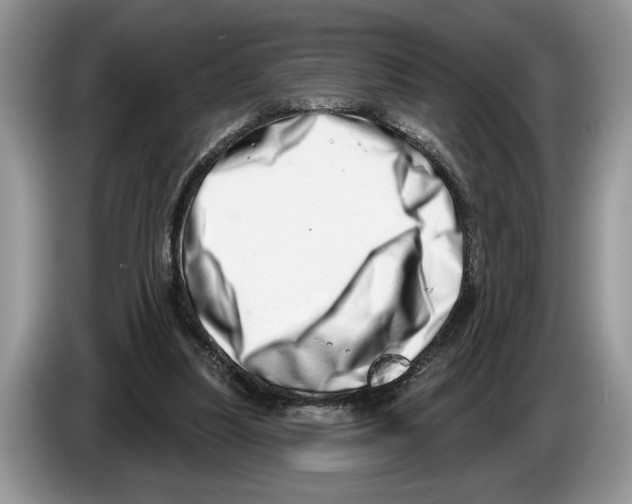 X0000086270251200704262022
