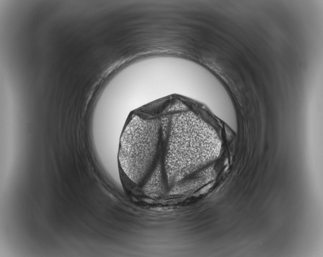 X0000086270252200704262022