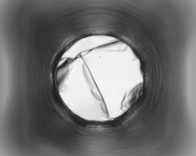 X0000086270254200704262022