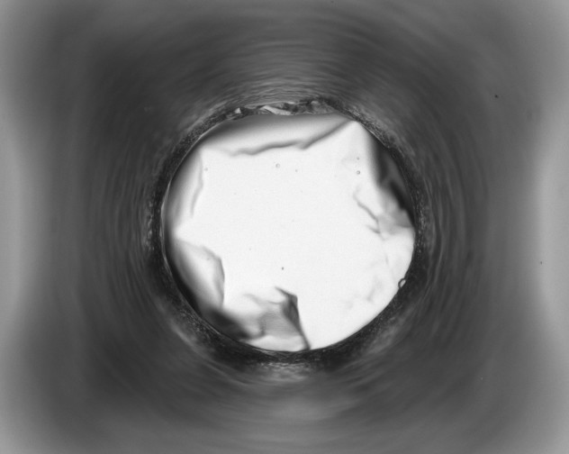 X0000086270255200704262022