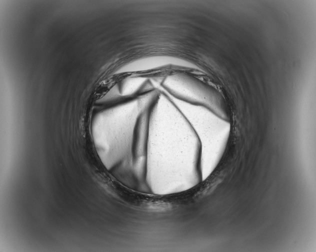 X0000086270258200704262022