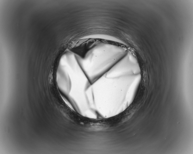 X0000086270259200704262022