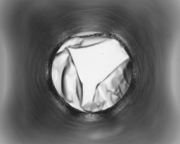 X0000086270261200704262022
