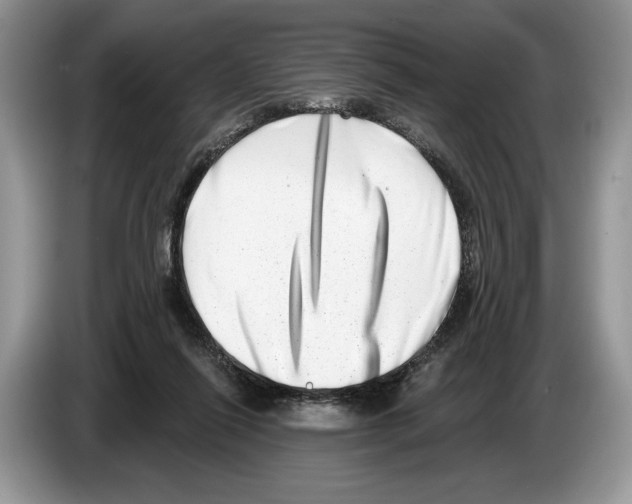 X0000086270262200704262022
