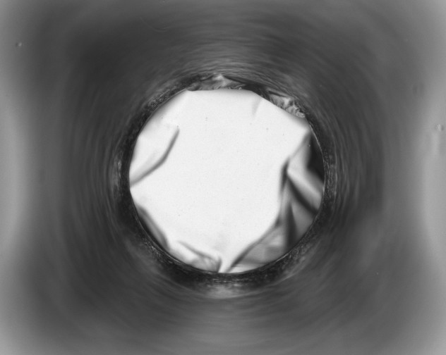 X0000086270263200704262022