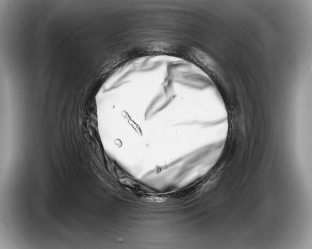 X0000086270265200704262022