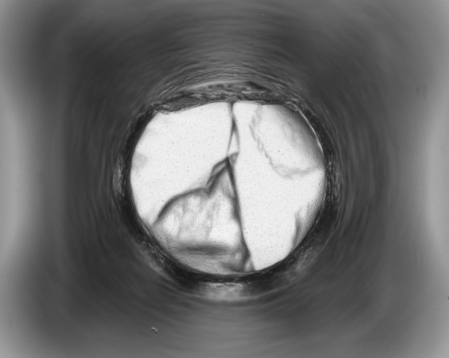X0000086270266200704262022