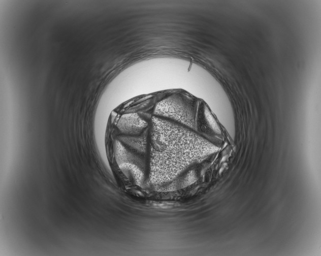 X0000086270268200704262022