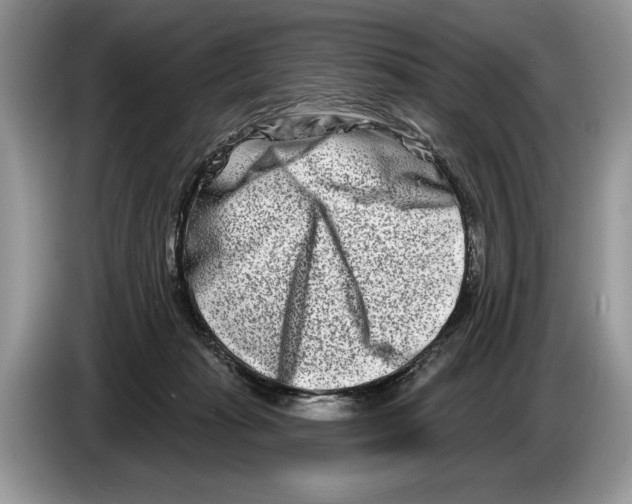 X0000086270269200704262022