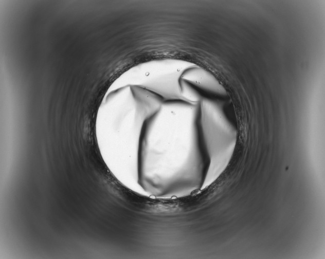 X0000086270270200704262022