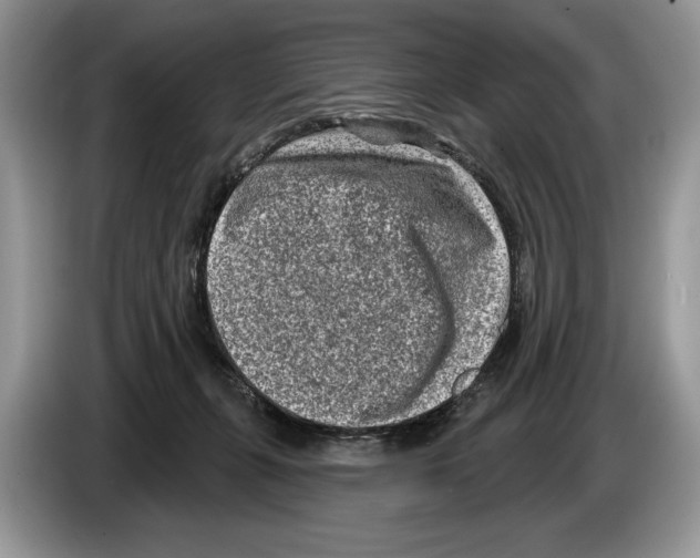 X0000086270271200704262022
