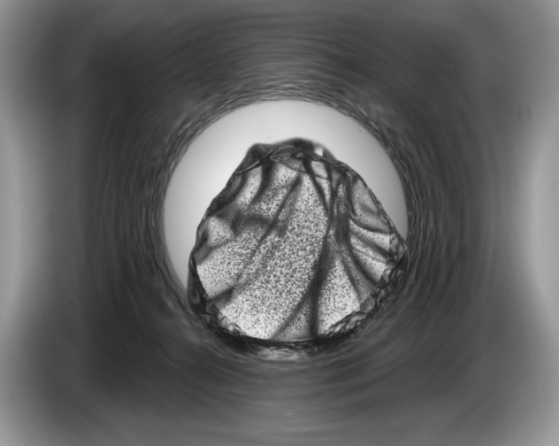 X0000086270272200704262022