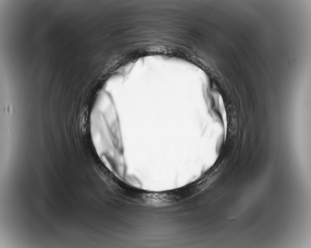 X0000086270273200704262022
