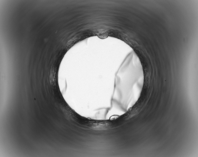 X0000086270274200704262022