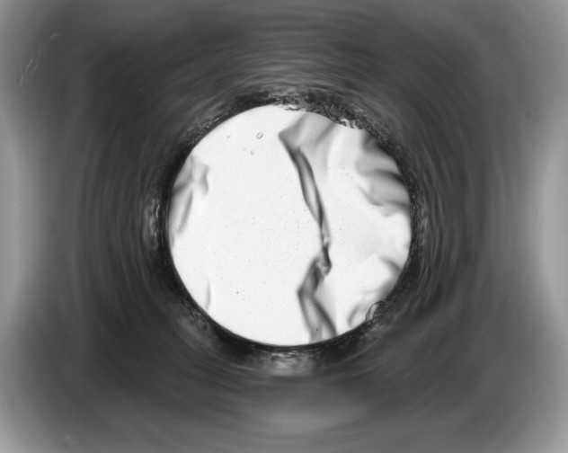 X0000086270275200704262022
