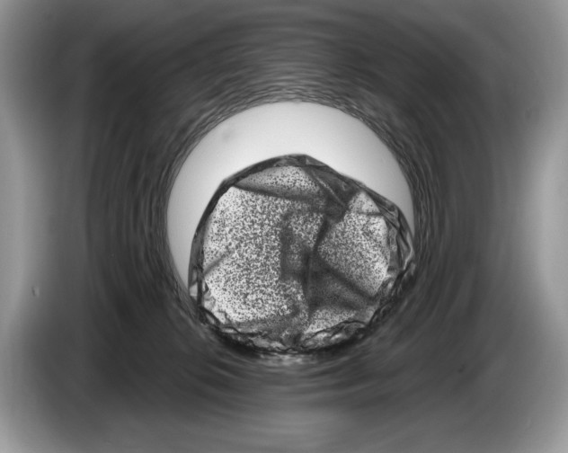 X0000086270276200704262022